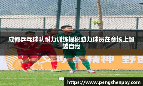 成都乒乓球队耐力训练揭秘助力球员在赛场上超越自我